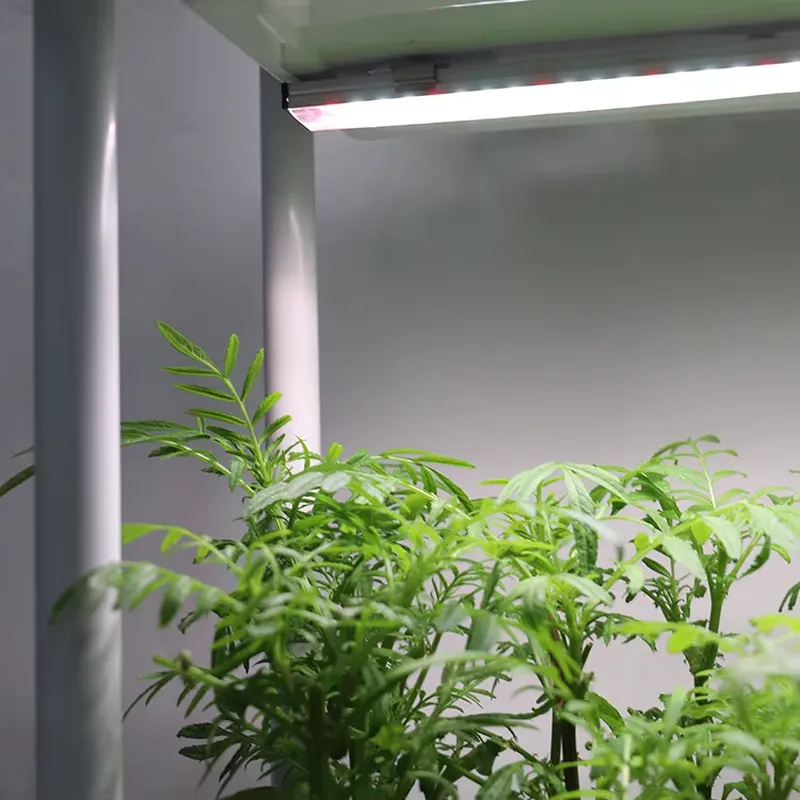 Self Watering Planter - Beweglicher Vertikaler 3-Ebenen-Gartenbehälter mit Selbstbewässerung und