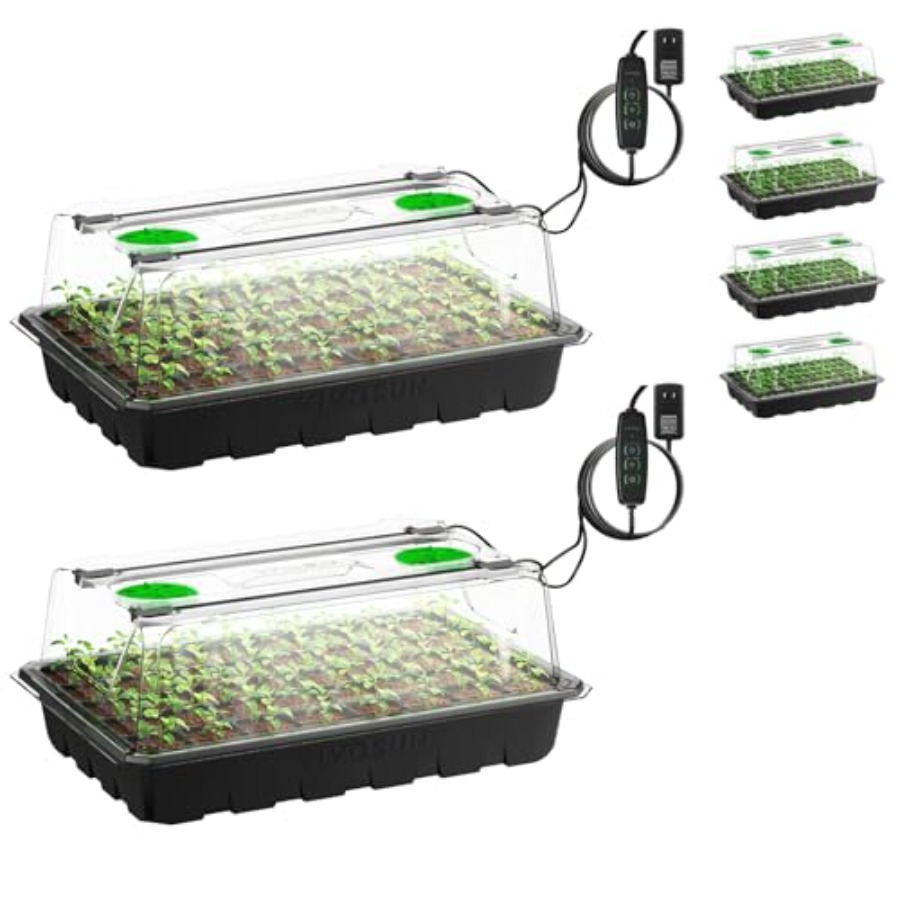 Seed Starter Tray - 6er-Pack Anzuchtschalen für den Innenbereich, grüne
