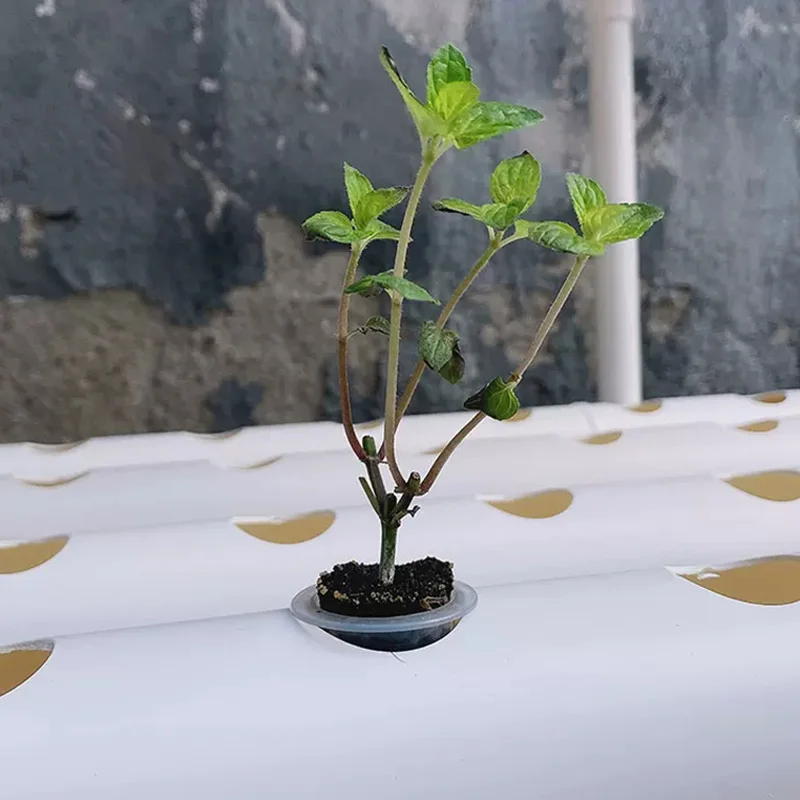 Hydroponic Kit - Bodenloses Anbausystem-Set, PVC-Rohr-Hydroponik, Heimgarten, Kräutergarten-Werkzeuge, solarbetrieben,