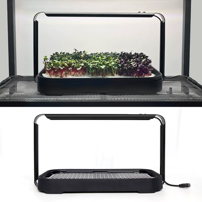 Microgreens Selbstbewässerndes – Hydroponic Kit Bewertung und Preis