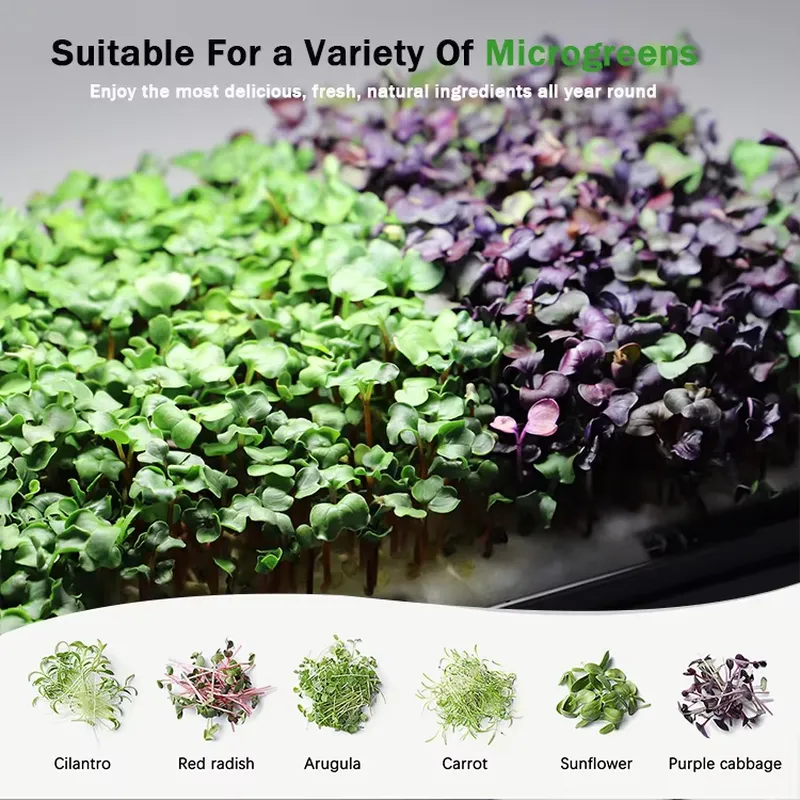 Microgreens Selbstbewässerndes – Hydroponic Kit Bewertung und Preis