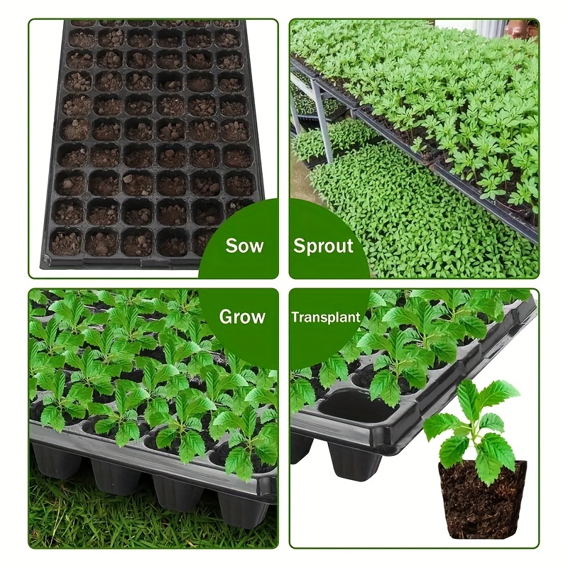10-20 Anzuchtschale, Gewächsha – Seed Starter Tray Bewertung und Preis