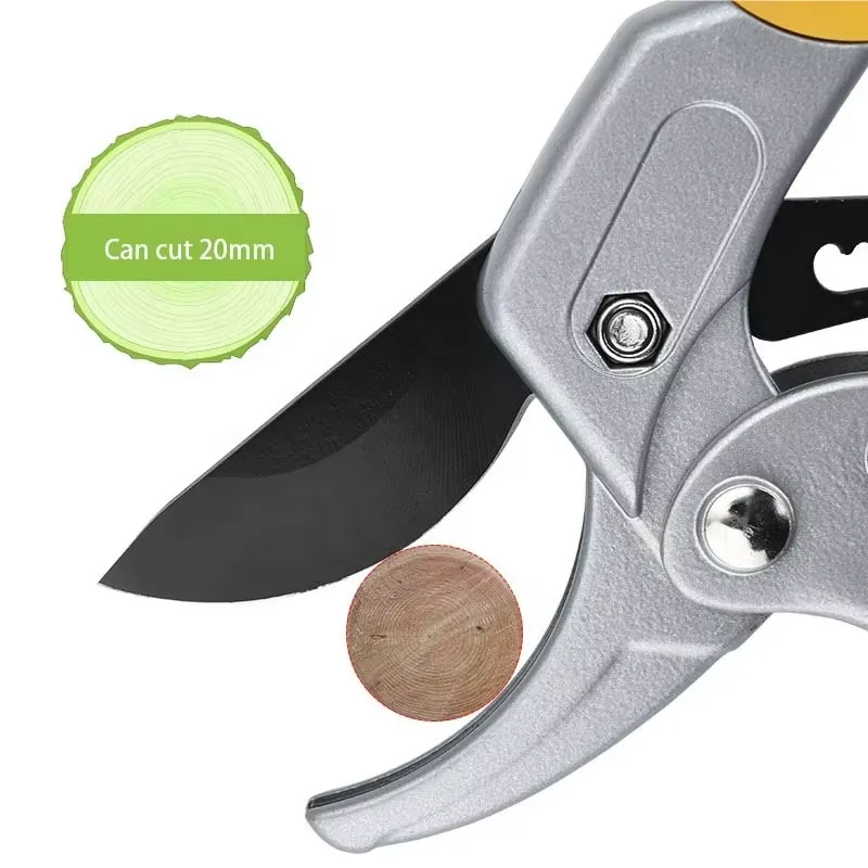 EE1 für heiß begehrte Gartensc – Pruning Shears Bewertung und Preis