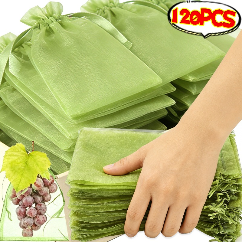 10/120x Organza-Obstschutzbeut – Grow Bag Bewertung und Preis