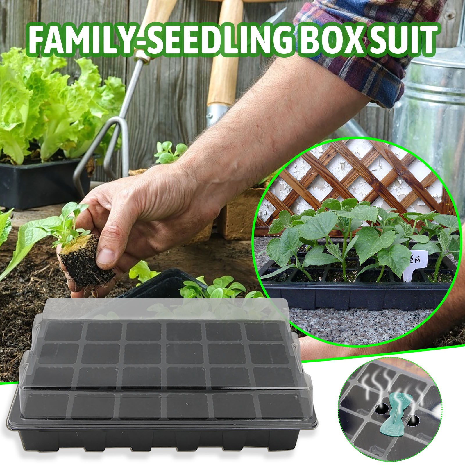 24 Zellen Sämlingstablett Keim – Seed Starter Tray Bewertung und Preis
