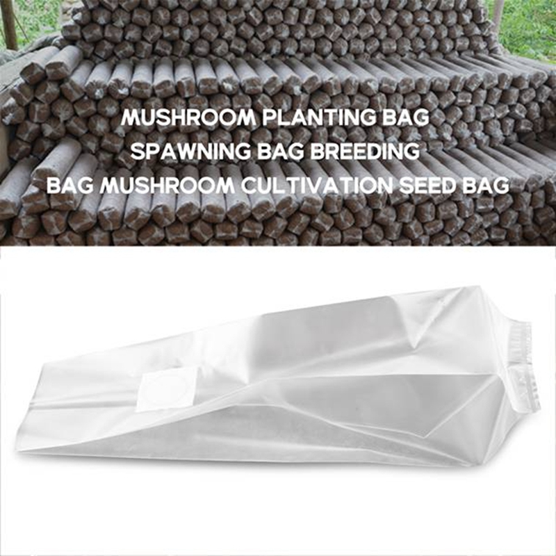 50 Stück Pilzbeutel/Pilzzuchtb – Grow Bag Bewertung und Preis