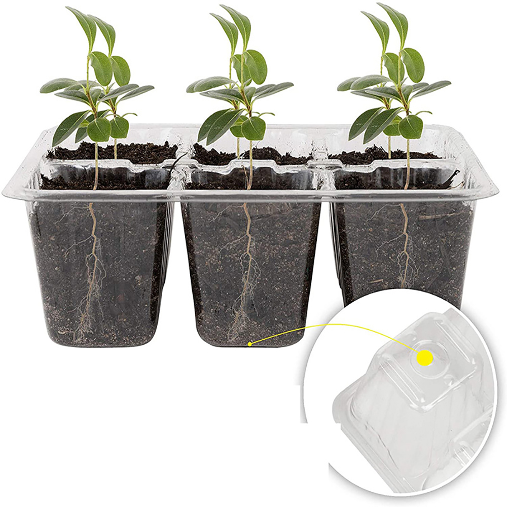 Saatgut-Startersc halen mit Wa – Seed Starter Tray Bewertung und Preis