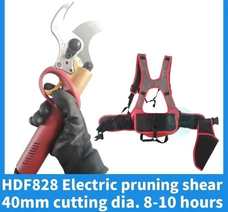 Batteriebetriebene Gartenscher – Pruning Shears Bewertung und Preis