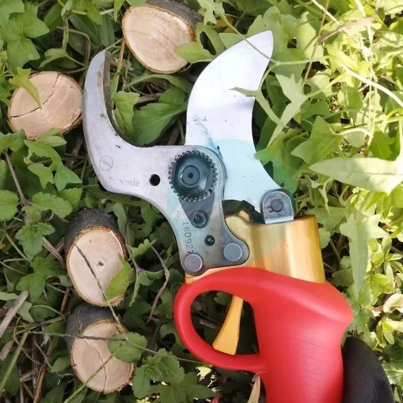 Batteriebetriebene Gartenscher – Pruning Shears Bewertung und Preis