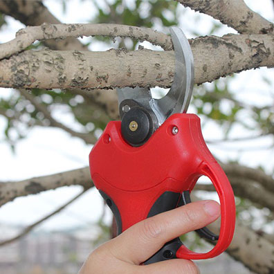 Hochwertige Gartenpflegeschere – Pruning Shears Bewertung und Preis