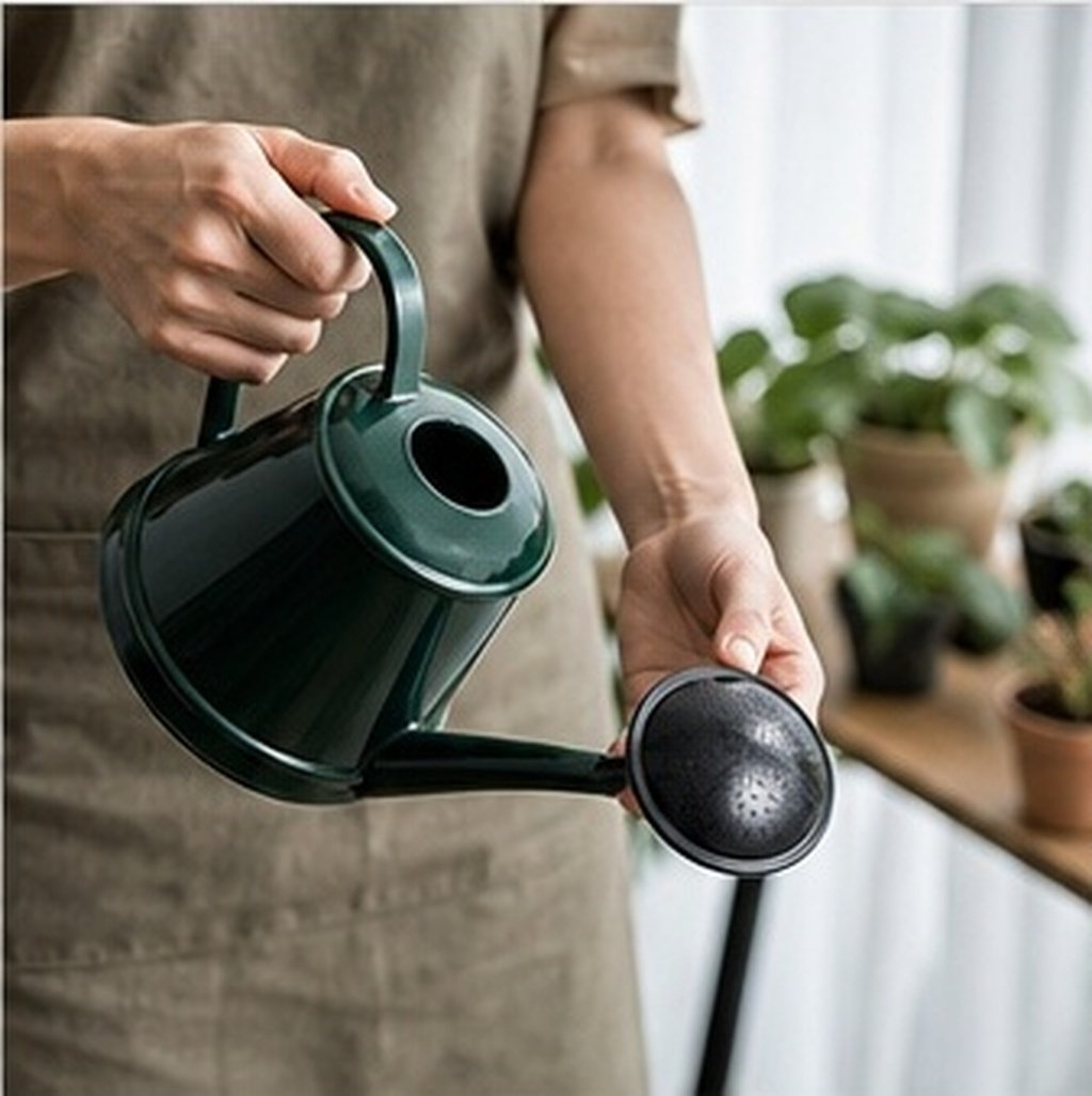 Gießkanne Sprinklerkopf 6er-Pa – Watering Can Bewertung und Preis