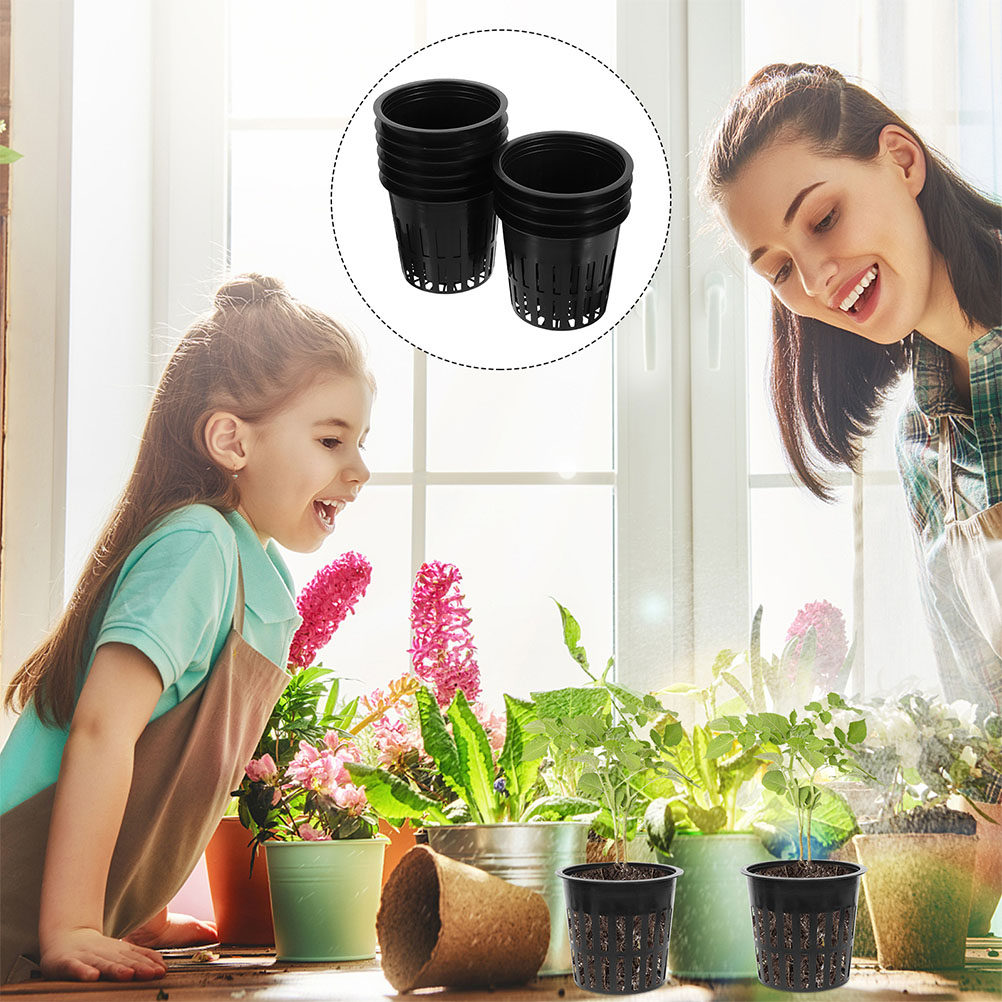 15 Stück Hydrokultur-Pflanzenk – Plant Pot Bewertung und Preis