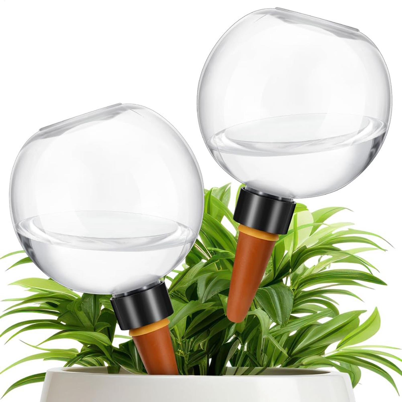 500 ml automatische Pflanzenbe – Self Watering Planter Bewertung und Preis