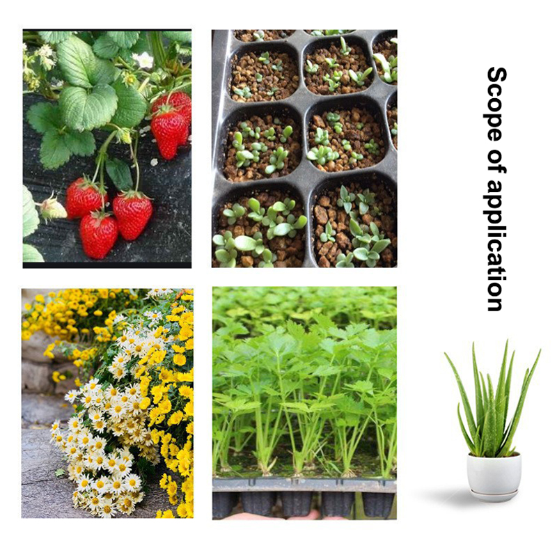Heißer Verkauf: 10 Stück Anzuc – Seed Starter Tray Bewertung und Preis